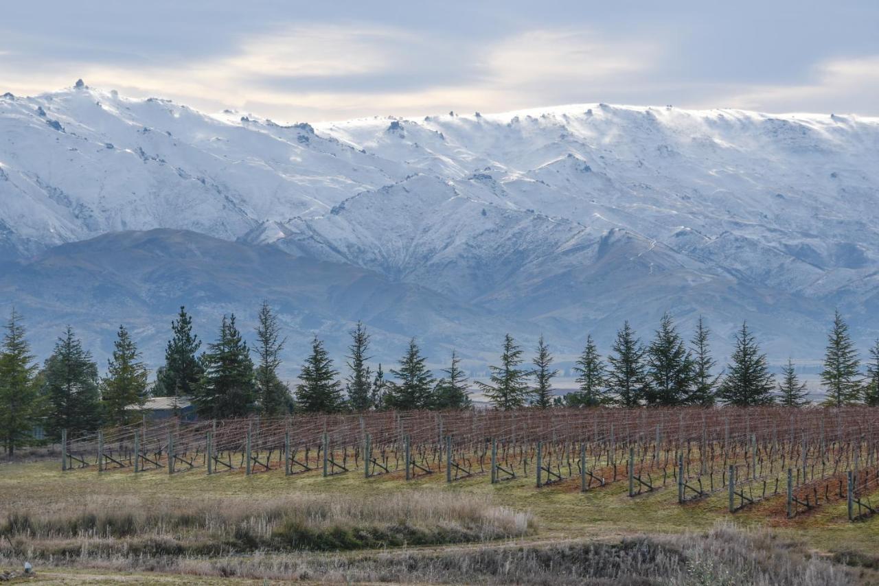 Grey Ridge Vineyard Experience Alexandra Exterior foto